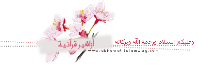 post-36649-0-79219000-1382945701.png