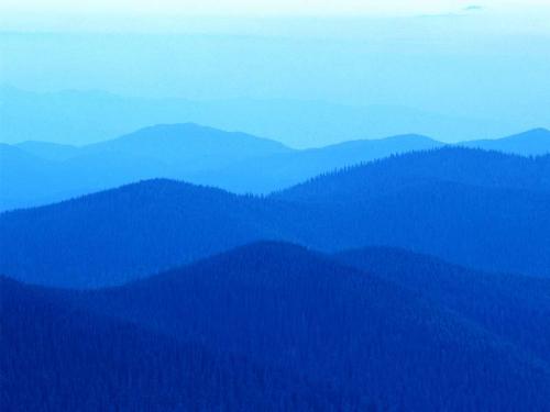 Collines.jpg