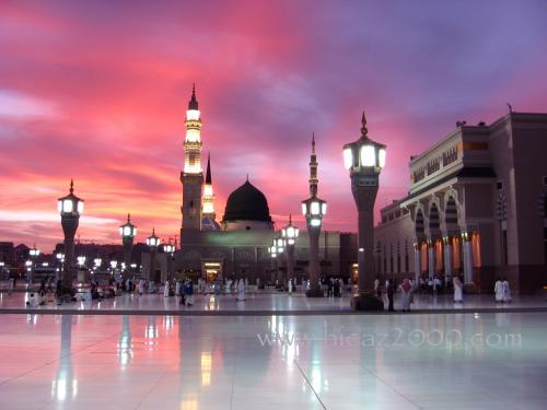 post-41625-1205626878_thumb.jpg
