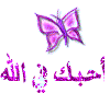 post-45736-1215964610.gif