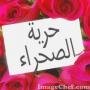 حورية الصحراء