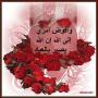 الهدوء الحالم