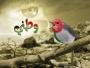 عبق الجنان