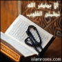 شدى الزهور