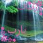 رضاك يارب
