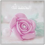 دانة الاسلام