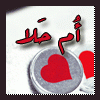 ام حلا