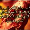 حفيدة بنت الصديق