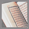 درة أنا بنقابي