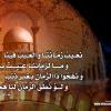 وفاء حمادة بكرى