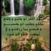 أحبك يا جزائر