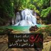 جنة ربي مبتغاي ومطلبي