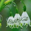 ام ياسر وعمار