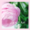 امة الله ش